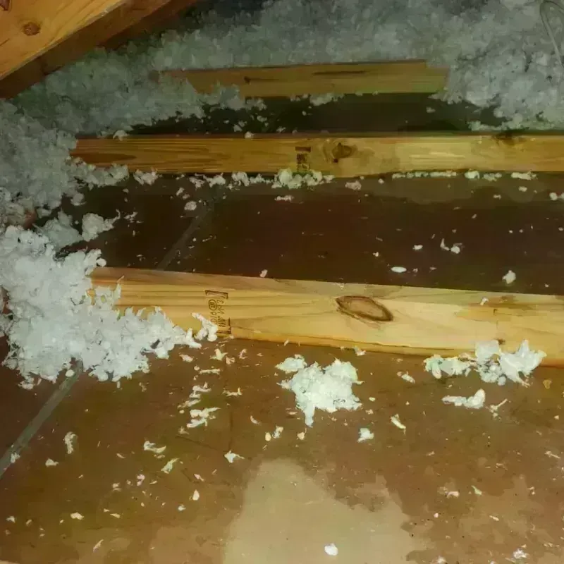 Attic Water Damage in Mont Belvieu, TX