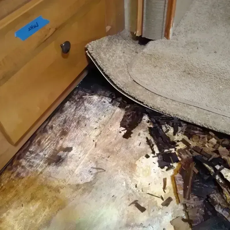 Wood Floor Water Damage in Mont Belvieu, TX